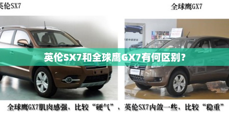 有哪些小植物适合在家里种植？