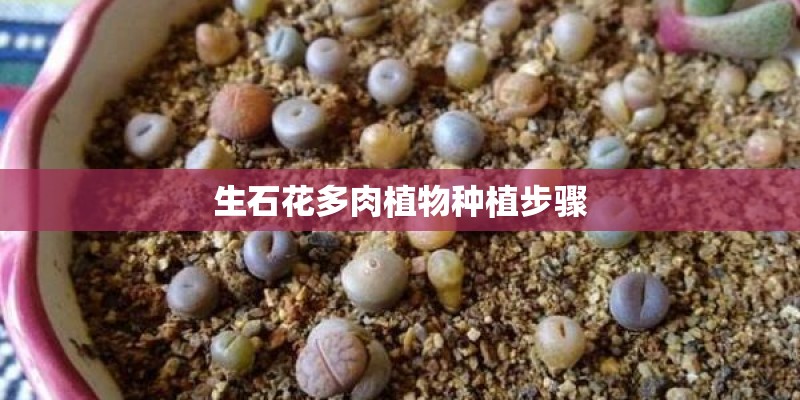 国产十大喇叭排名
