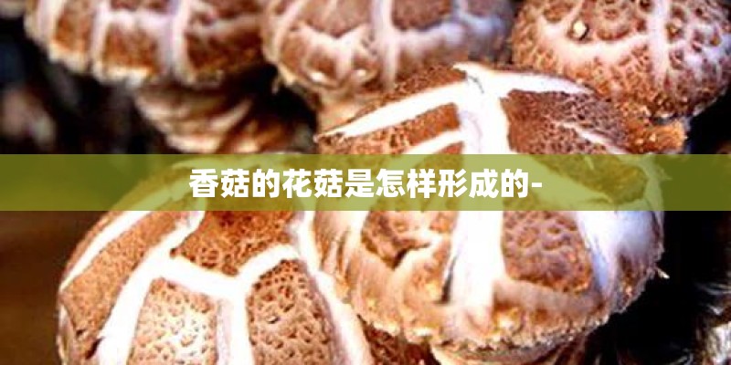 香菇的花菇是怎样形成的-