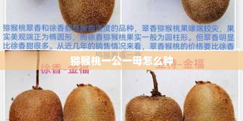 <演讲与口才>哪里有这本书