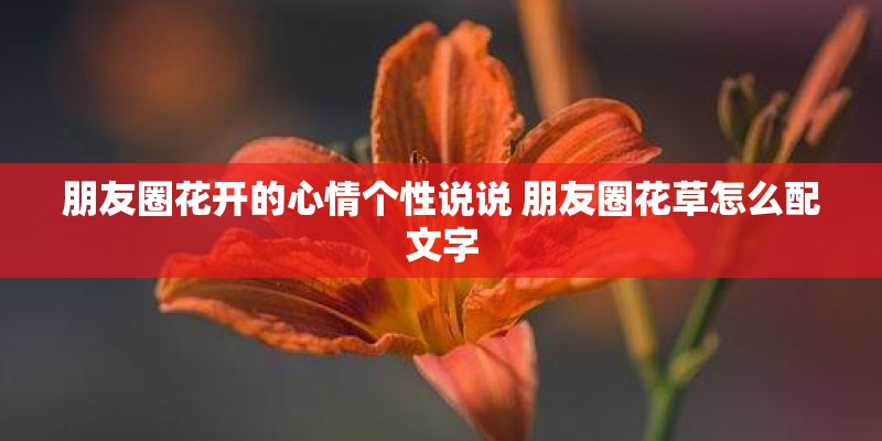 黄栀子是怎样的植物？