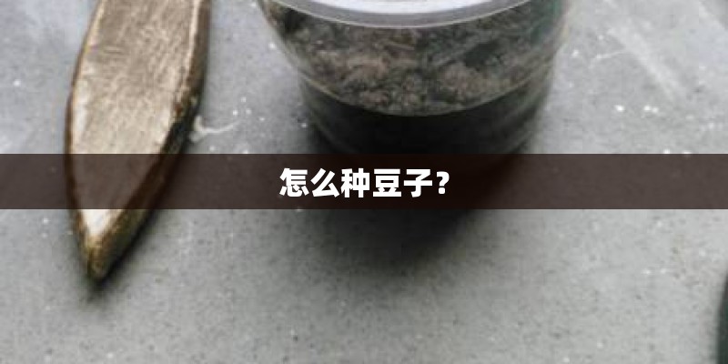 怎么种豆子？